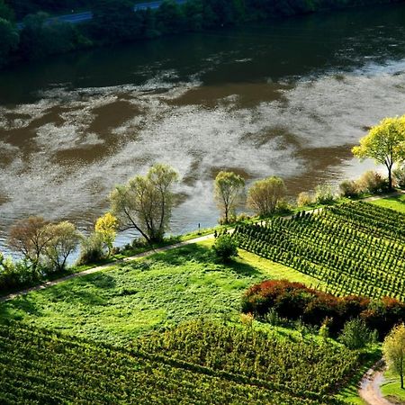 ツェル・アン・デル・モーゼルWeingut Helmut Barzenアパートメント エクステリア 写真