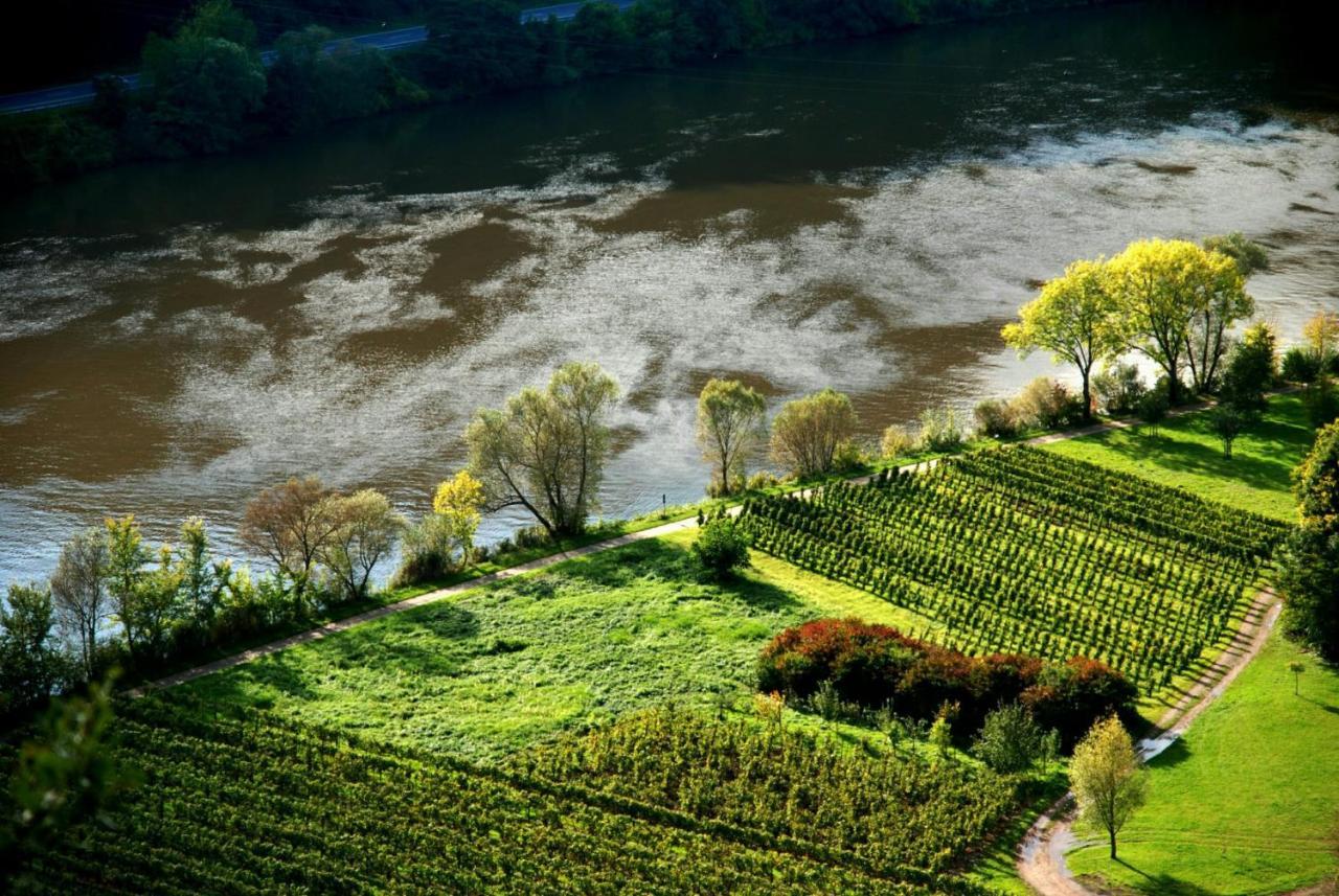ツェル・アン・デル・モーゼルWeingut Helmut Barzenアパートメント エクステリア 写真